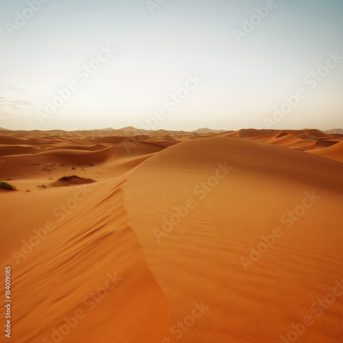 Sahara Desert Morocco © Lukas