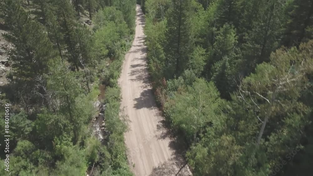 Open dirt road in forest, aerial Open dirt road in forest, aerial