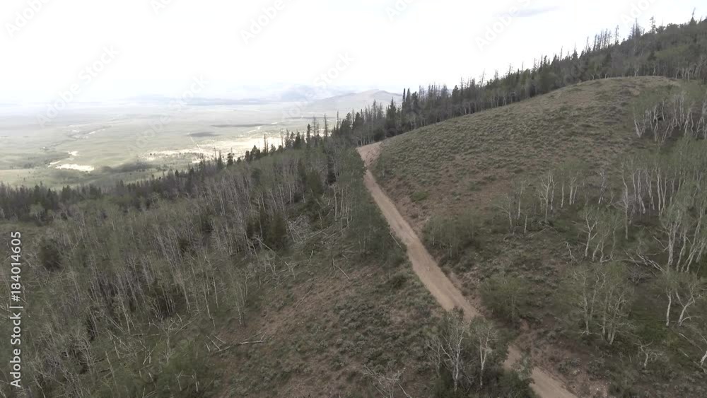 Scenic tree-line on mountain, aerial Scenic tree-line on mountain, aerial