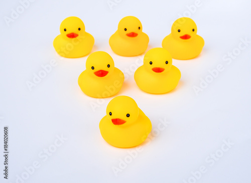 Leadership and friendship Concept: Yellow duck toy with white background.