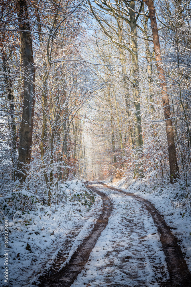 verschneite Winterlandschaft verschneite Winterlandschaft