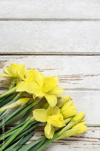 Beautiful yellow daffodils on white wooden table.