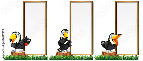 Border template with toucan birds
