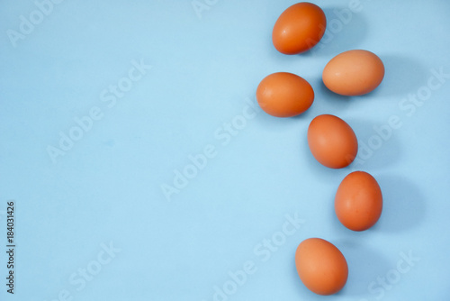 Chicken Egg Over Blue Background 