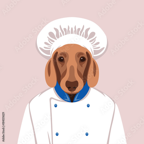 dog face in cook's cap vector illustration flat style