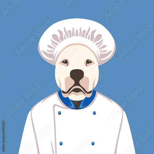 dog face in cook's cap vector illustration flat style