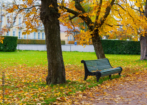 green bench under tree in park when autumn © bankajk