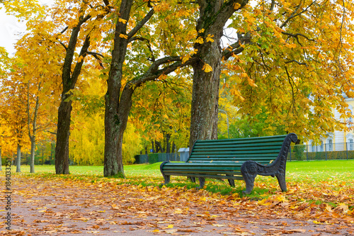 green bench under tree in park on autumn