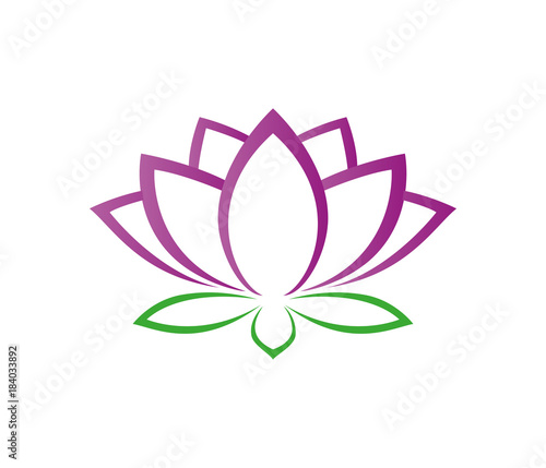 beautiful lotus flower vector logo design