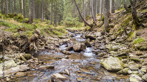 A view of a mountain stream that flows down a slope of stones