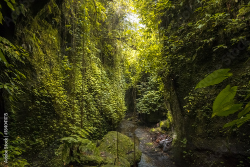magical green cave in bali. indonesia
