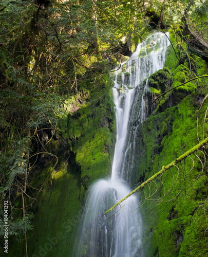 a waterfall in a rainforest in spring
