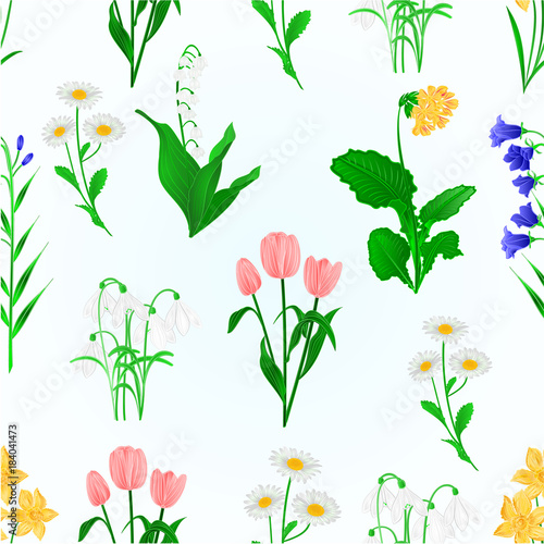 Seamless texture spring flowers lily of the valley ,snowdrops,bluebell campanula and primrose Daffodils ,Tulips, daisies vintage vector illustration editable hand draw