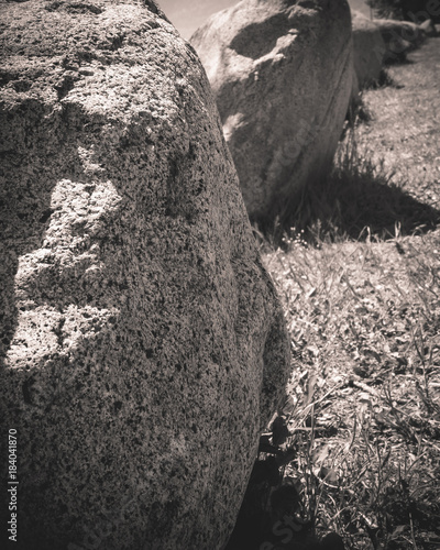 looking down a row of large stones in a park