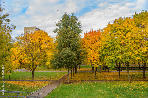 autumn landscape in a Park in Moscow