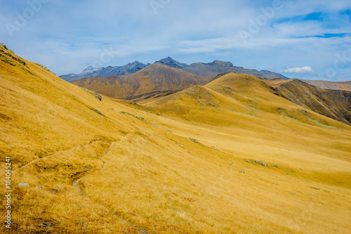 Golden mountains in Lagodekhi national park, Georgia