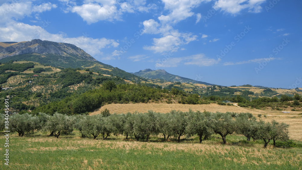 Summer landscape in Abruzzi near Brittoli