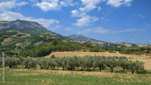 Summer landscape in Abruzzi near Brittoli