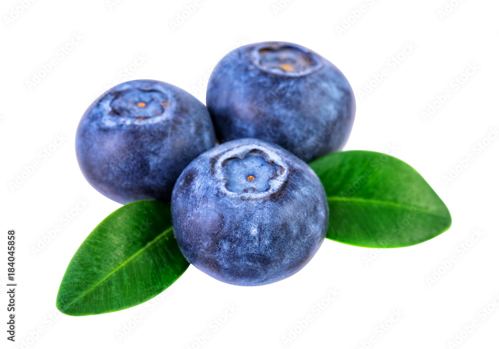 Obraz premium Blueberries isolated on white with clipping path