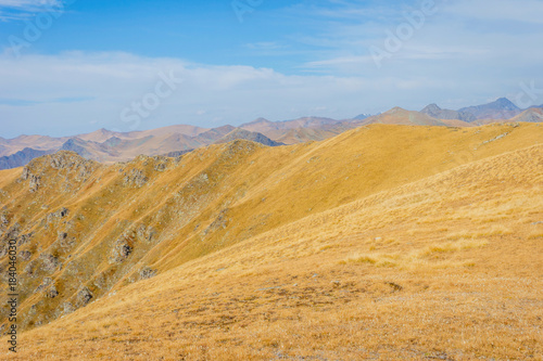 Golden mountains in Lagodekhi national park, Georgia