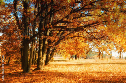 goldender Herbst © Stefan Grund
