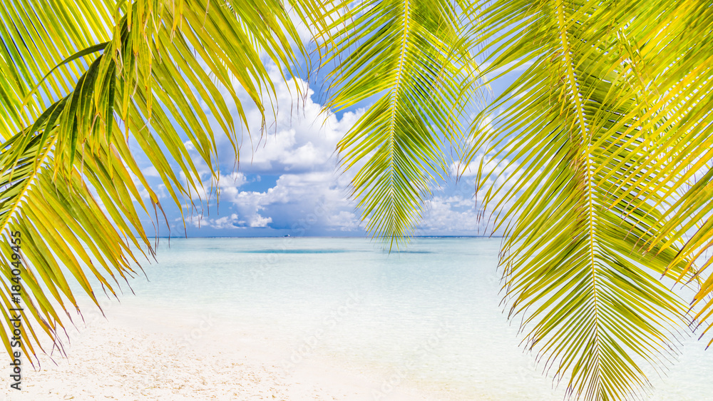 Fototapeta premium Beautiful beach landscape. Summer holiday and vacation concept. Inspirational tropical beach. Beach background banner