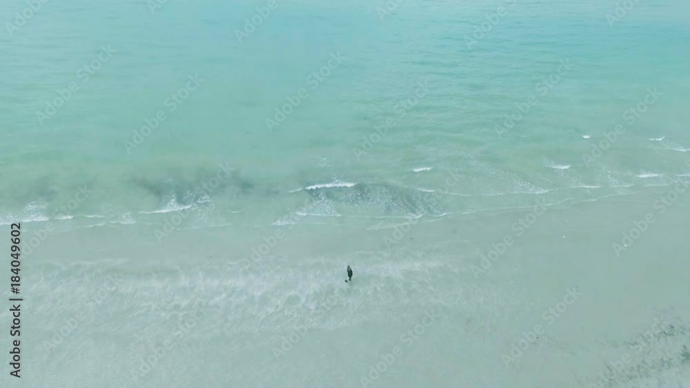 Blonde european woman with broken heart walks alone on coldy beach, looks at sea and horizon, dreams. Hipster girl in depression is praying, freezes, thinks about love, suicide Blonde european woman with broken heart walks alone on coldy beach, looks at sea and horizon, dreams. Hipster girl in depression is praying, freezes, thinks about love, suicide