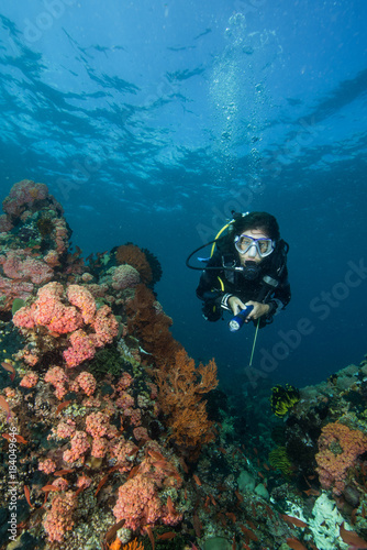 woman scuba diving on a tropical reef in the Philippines