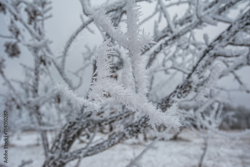 Winter landscape in Russia © equinoxnet