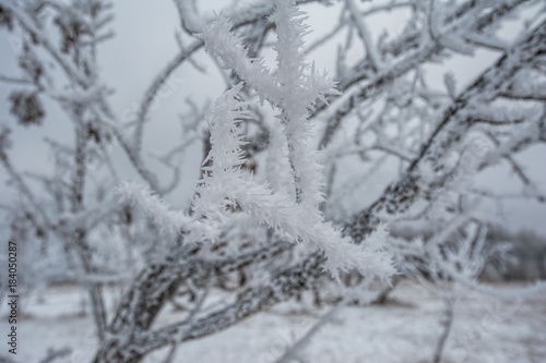 Winter landscape in Russia