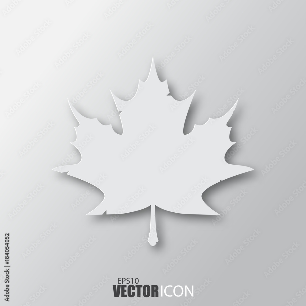 Maple leaf icon in white style with shadow isolated on grey background. Maple leaf icon in white style with shadow isolated on grey background.
