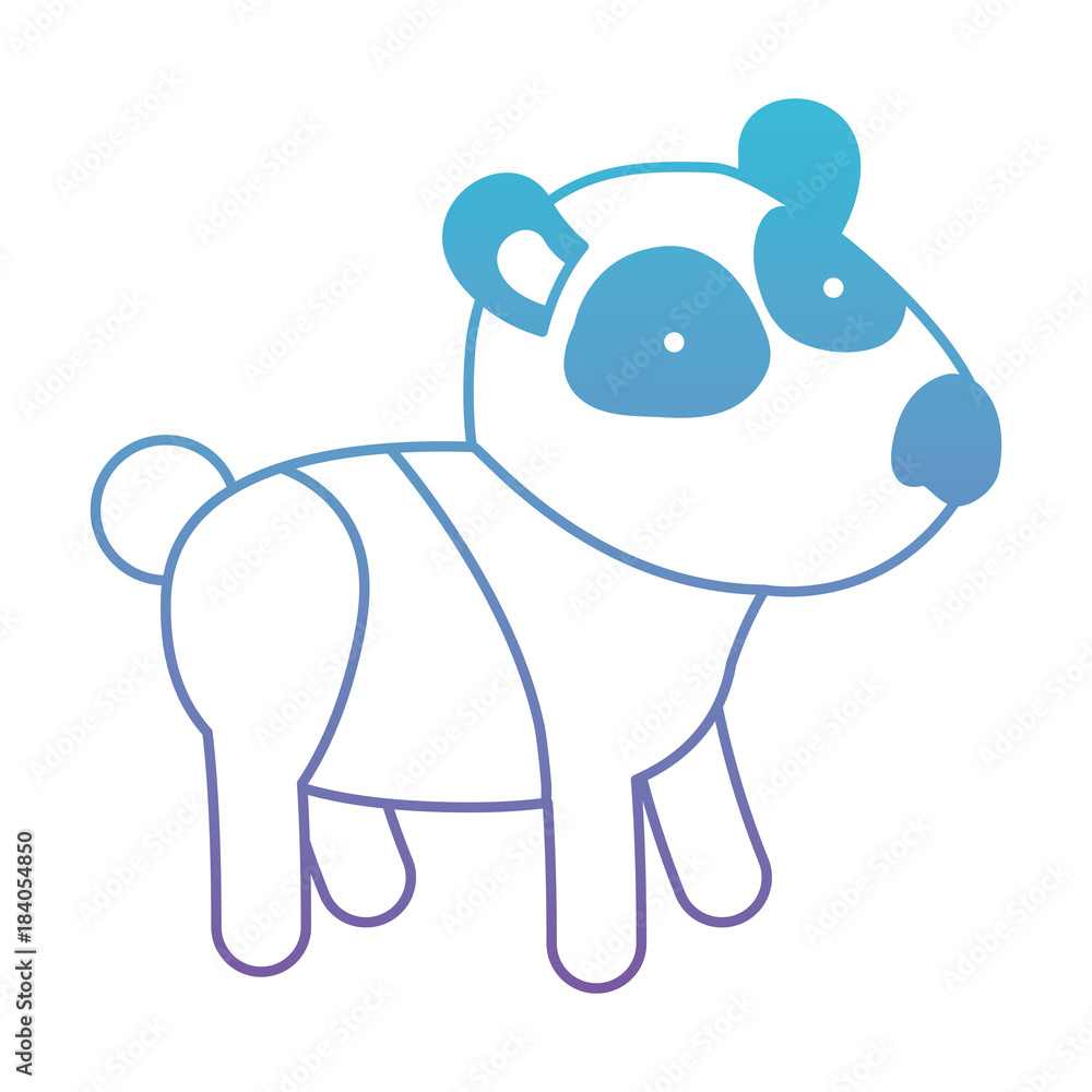 Fototapeta premium panda cartoon in degraded blue to purple color contour vector illustration
