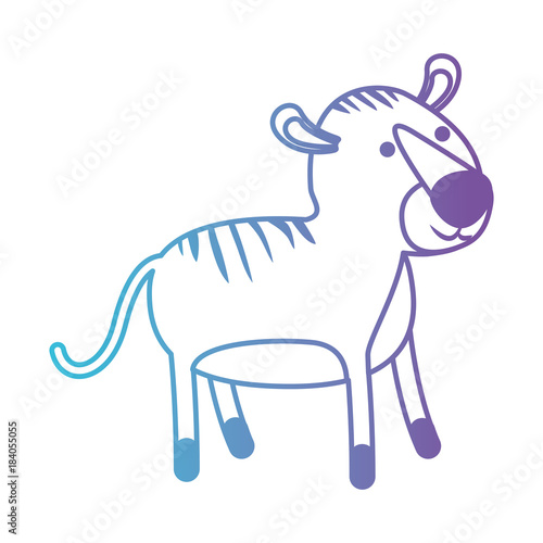 tiger cartoon in degraded blue to purple color contour vector illustration