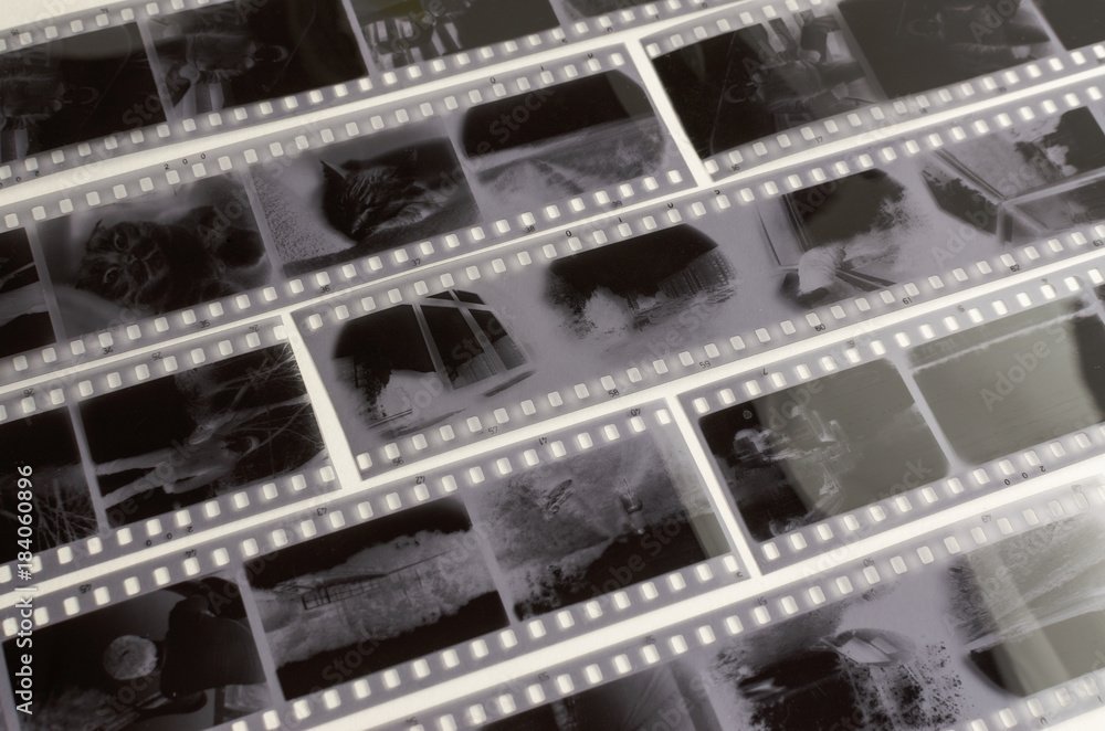 black and white negatives 35 mm film on white background