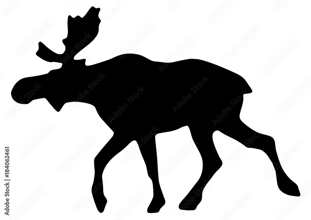 Naklejka premium Elk/Moose Vector