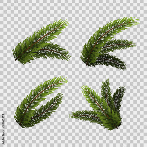 Vector realistic isolated set of fir branches for decoration and covering on the transparent background. Concept of Merry Christmas and Happy New Year.