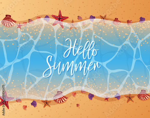 Summer theme with starfish and shells on the beach