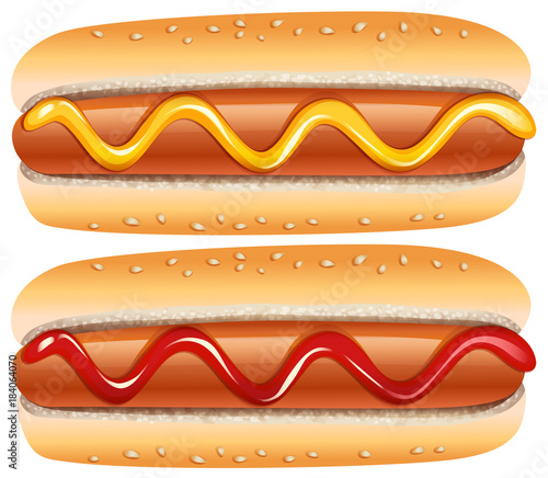 Hotdogs with mustard and ketchup photo