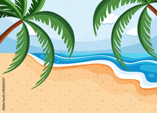 Background scene with coconuts on beach