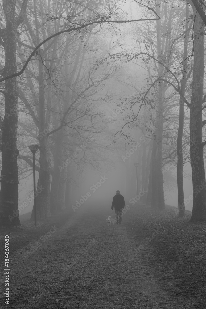 solitude man in the fog