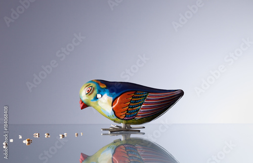 small bird is picking grains, isolated