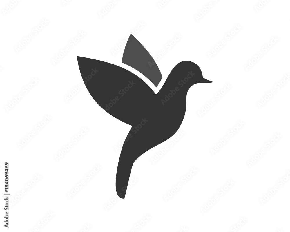 Bird consulting Bird consulting