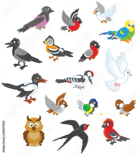 Vector set of birds in cartoon style