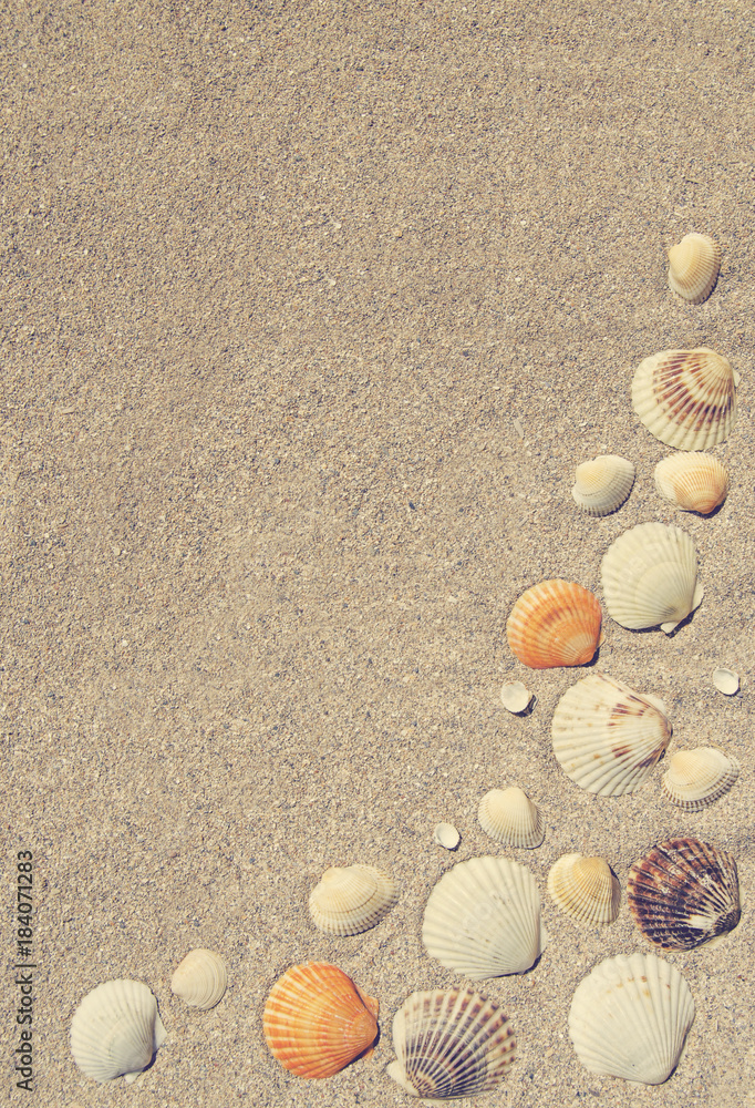Summer background with seashells on sand Summer background with seashells on sand