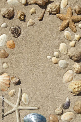 Summer background with seashells on sand
