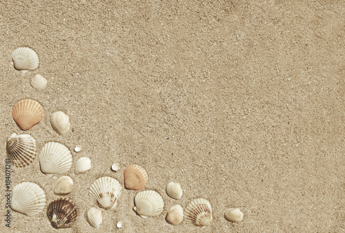 Summer background with seashells on sand