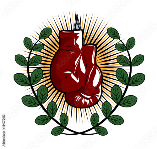 Boxing gloves 