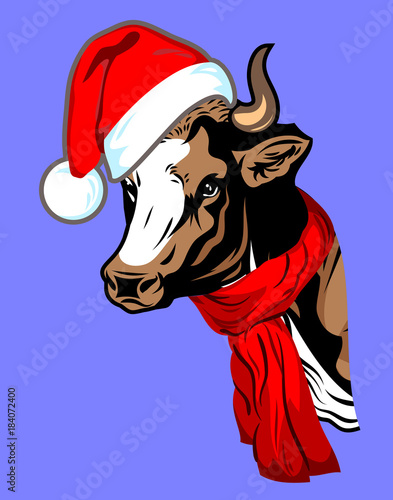 cow, in a Santa's Cap with a pompon and scarf