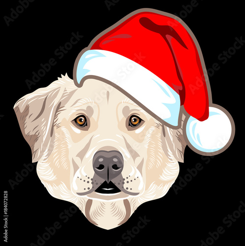 Husky's dog, in a Santa's Cap with a pompon 