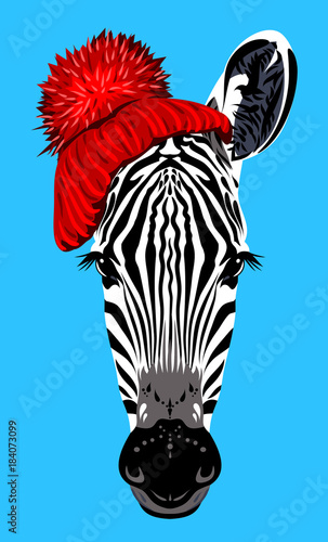 zebra, in a knitted red hat with a pompon